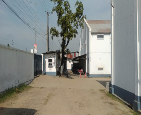Picture12